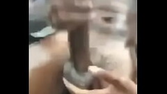 Black cock Thumb
